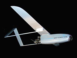 Unmanned Aerial Vehicle (UAV) image