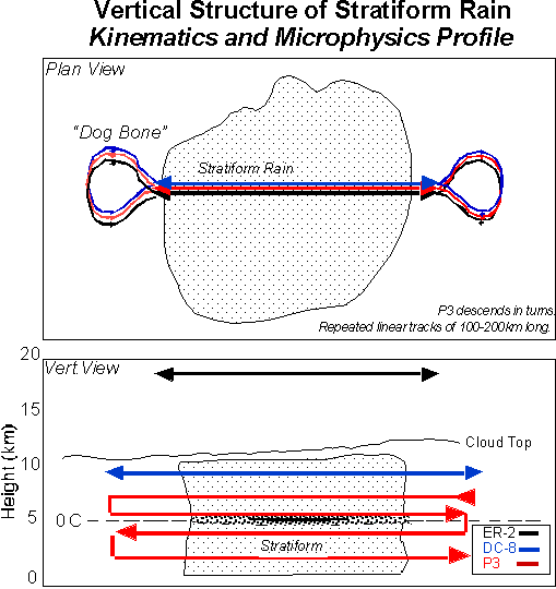 Flight plan diagram "Kinematics and Microphysics Profile"