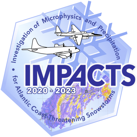 IMPACTS logo